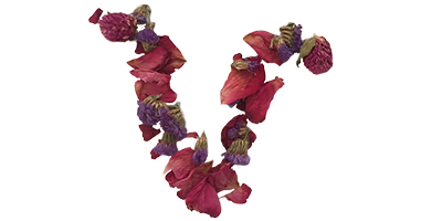 logoalba1